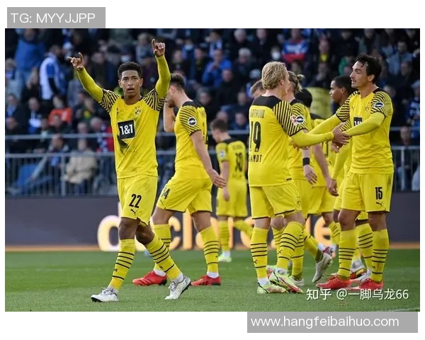 切尔西与埃弗顿对决前瞻伤停信息及阵容分析一览