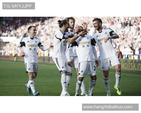 加的夫城与纽斯卡尔的激烈对决谁将赢得英超荣耀之战